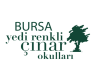 Bursa Yedirenkli Çınar Okulları